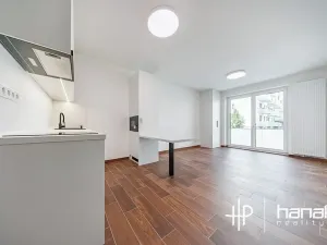 Pronájem bytu 1+kk, Olomouc, Třída Jiřího Pelikána, 33 m2