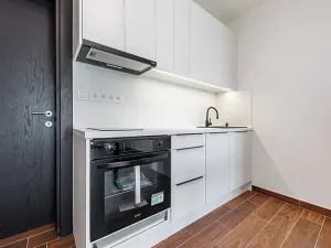 Pronájem bytu 1+kk, Olomouc, Třída Jiřího Pelikána, 33 m2