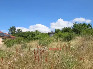 Prodej pozemku pro bydlení, Dyje, 2679 m2