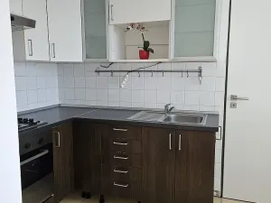 Pronájem rodinného domu, Velká Polom, Osvoboditelů, 300 m2