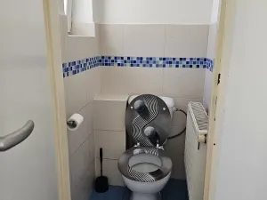 Pronájem rodinného domu, Velká Polom, Osvoboditelů, 300 m2