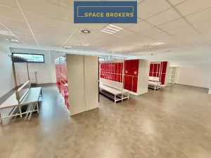 Pronájem skladu, Nový Bydžov, 2574 m2