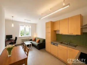 Pronájem bytu 3+kk, Praha - Vinohrady, Korunní, 85 m2