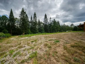 Prodej pozemku pro bydlení, Kamenice nad Lipou, 4988 m2