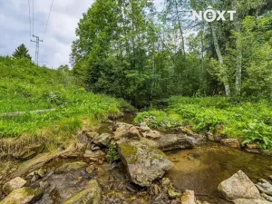 Prodej rodinného domu, Horní Vltavice, 350 m2