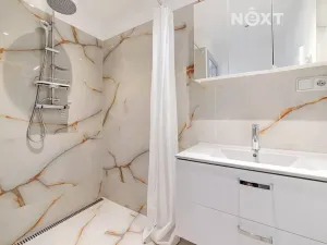 Prodej rodinného domu, Černá u Bohdanče, 258 m2