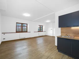 Pronájem bytu 1+kk, Zruč-Senec, Sportovní, 44 m2