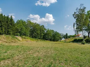 Prodej pozemku pro bydlení, Čistá, 10141 m2