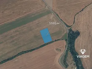 Prodej podílu pole, Plasy, 1748 m2