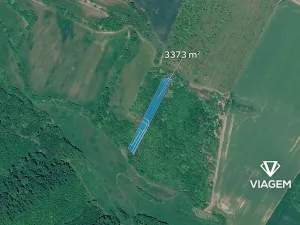 Prodej pole, Čejkovice, 3373 m2