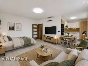 Prodej bytu 1+kk, Brno, Křídlovická, 35 m2