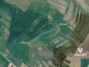 Prodej podílu zahrady, Kobylí, 2840 m2