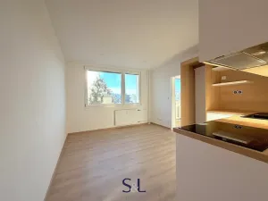Pronájem bytu 1+1, Nový Bor, Sadová, 36 m2