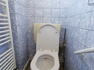 Pronájem bytu 3+1, Hradec Králové, Krunertova, 80 m2