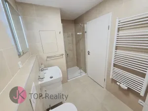 Pronájem bytu 1+kk, Plzeň, Železná, 32 m2