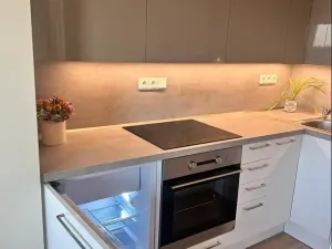 Pronájem bytu 1+kk, Zlín, Hřebíčkova, 20 m2