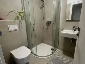 Pronájem bytu 1+kk, Zlín, Hřebíčkova, 20 m2