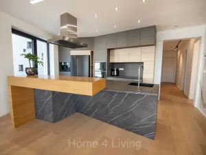 Prodej bytu 4+kk, Brno, Oldřišky Keithové, 223 m2