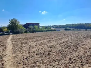 Prodej pozemku pro bydlení, Hrušovany u Brna, Pod Střediskem, 608 m2
