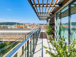 Pronájem bytu 5+kk, Praha - Vinohrady, Italská, 185 m2