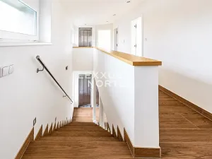 Pronájem rodinného domu, Praha - Břevnov, Falcká, 500 m2