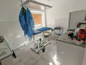 Prodej vícegeneračního domu, Lázně Bohdaneč, Škroupova, 205 m2