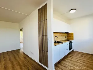 Pronájem bytu 3+1, Most, Javorová, 68 m2