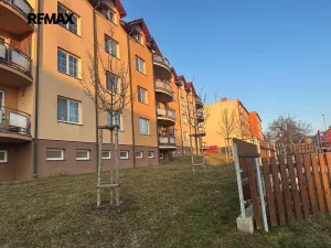 Pronájem bytu 2+1, Kralovice, Na Palcátech, 72 m2
