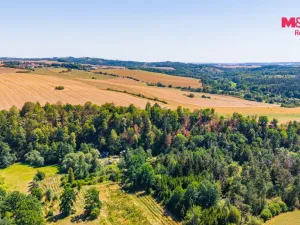 Prodej chaty, Staré Hobzí, 56 m2