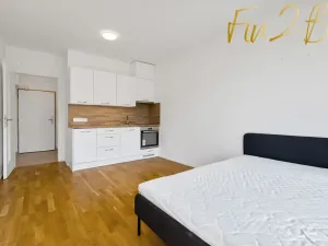 Pronájem bytu 1+kk, Praha - Libeň, Františka Kadlece, 24 m2