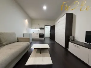 Pronájem bytu 1+kk, Ostrov - Horní Žďár, 28 m2