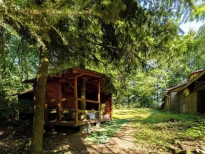 Prodej rodinného domu, Svratouch, 257 m2
