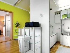 Pronájem bytu 3+1, Děčín, Na Vyhlídce, 64 m2