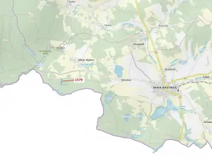 Dražba lesa, Nová Bystřice, 8581 m2