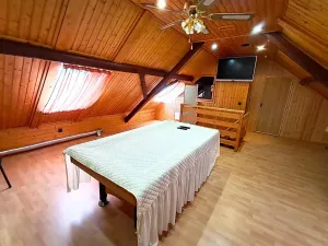 Prodej rodinného domu, Vysoké Veselí, 290 m2