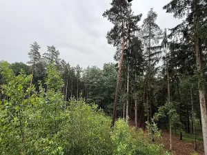 Prodej chaty, Zámostí-Blata, 50 m2