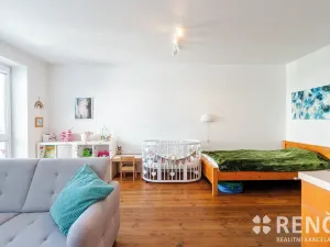 Prodej bytu 1+kk, Brno, Tomečkova, 46 m2