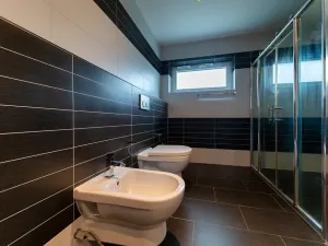 Prodej rodinného domu, Plzeň, Pod Radyní, 303 m2