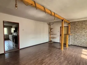 Prodej rodinného domu, Radnice, Dědická, 240 m2