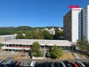 Pronájem bytu 2+1, Litvínov - Horní Litvínov, Ruská, 52 m2