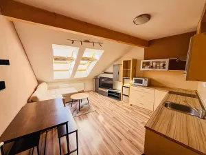 Pronájem bytu 2+kk, Olomouc, Uhelná, 47 m2