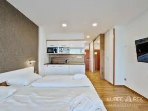Prodej ubytování, Frymburk, 90 m2