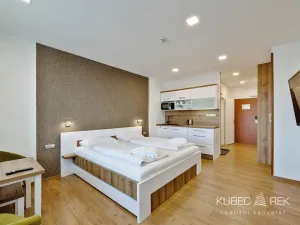 Prodej bytu 1+kk, Frymburk, 30 m2