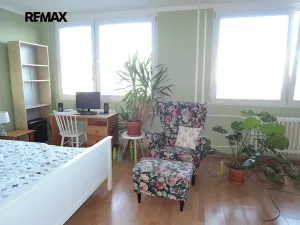 Pronájem bytu 1+kk, Kladno, Holandská, 38 m2