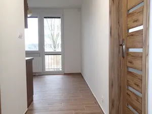 Pronájem bytu 1+1, Hlinsko, Družstevní, 46 m2