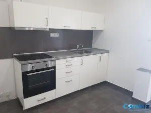 Pronájem bytu 1+1, Praha - Holešovice, Bubenské nábřeží, 40 m2