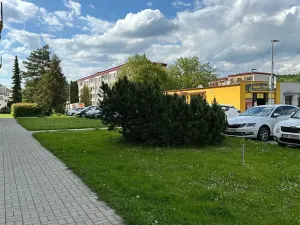 Prodej bytu 2+1, Týnec nad Sázavou, Družstevní, 52 m2