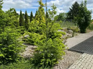 Prodej rodinného domu, Vojkov, 171 m2