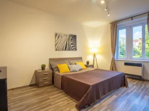 Pronájem bytu 2+kk, Praha - Žižkov, Jana Želivského, 56 m2
