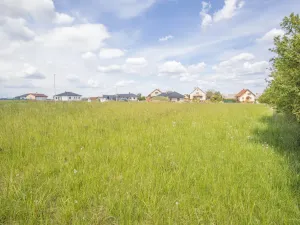 Prodej pozemku, Stolany, 1366 m2